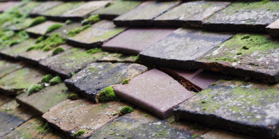 Nant Y Bai roof repair costs
